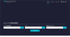 Desktop Screenshot of phoenixdi.com